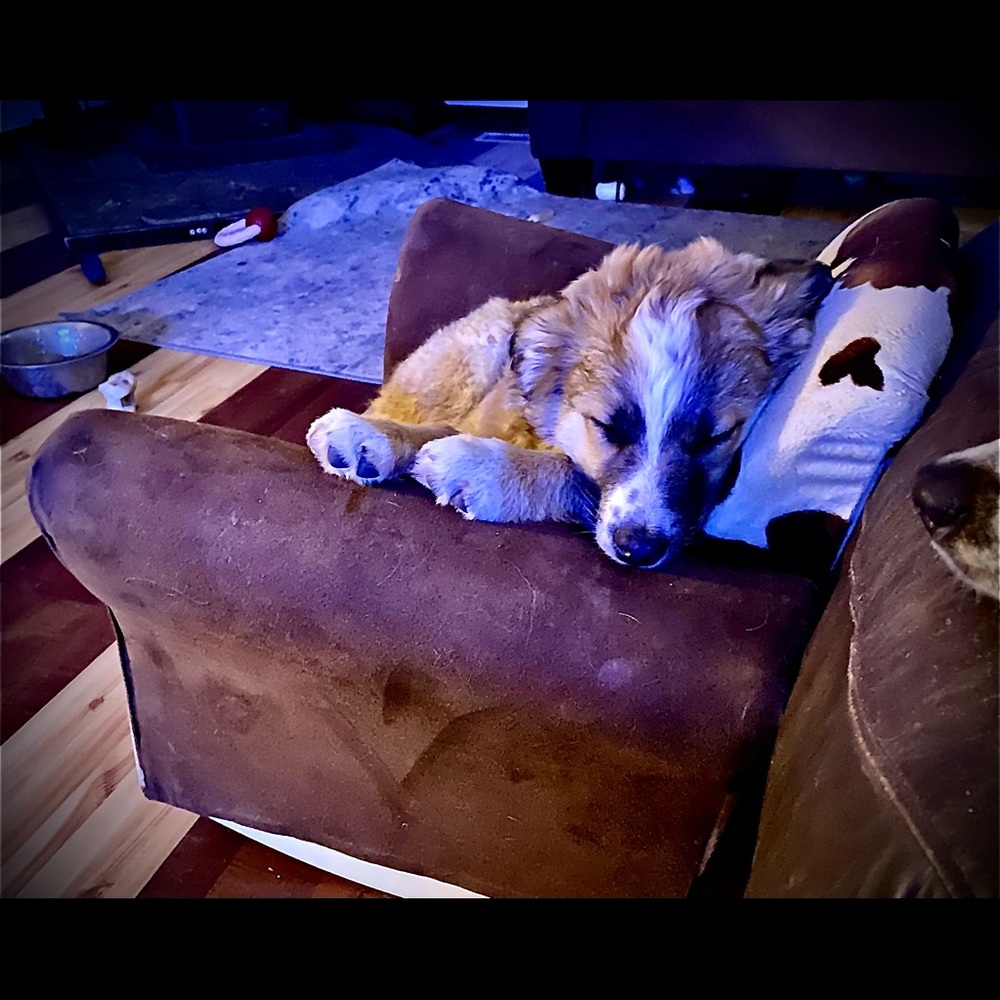 Meet your Posher, Vicky